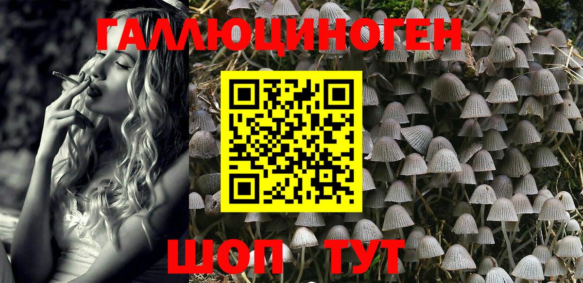 Галлюциногенные грибы Cubensis  Галлюциногенные грибы мицелий  Вход с VPN  Волгодонск 